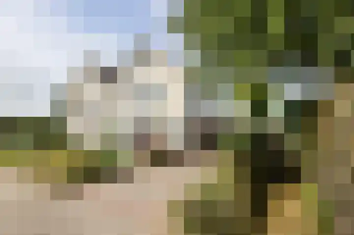 't Slaa 60 Aalten thumbnail 51