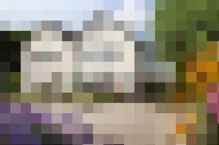 't Slaa 60 Aalten thumbnail 53