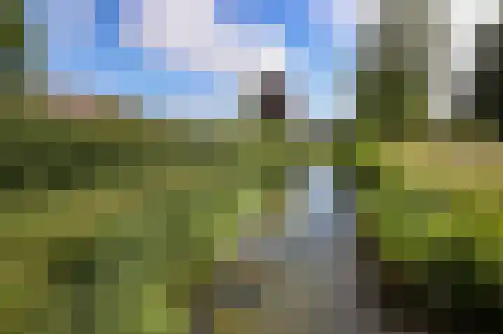 't Slaa 60 Aalten thumbnail 56