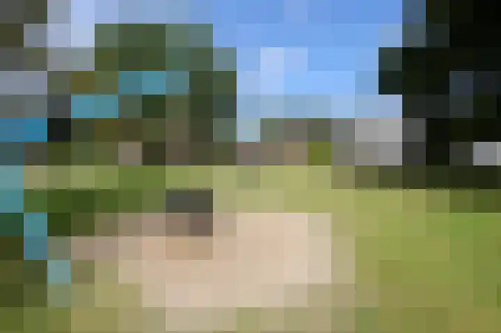 't Slaa 60 Aalten thumbnail 57