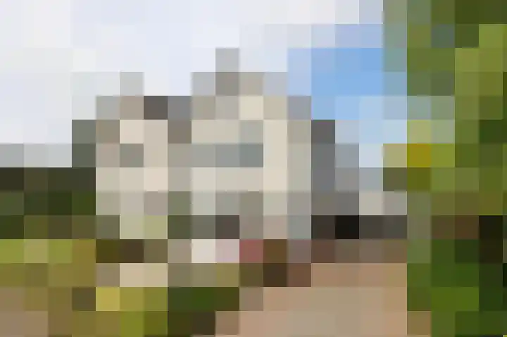 't Slaa 60 Aalten thumbnail 63