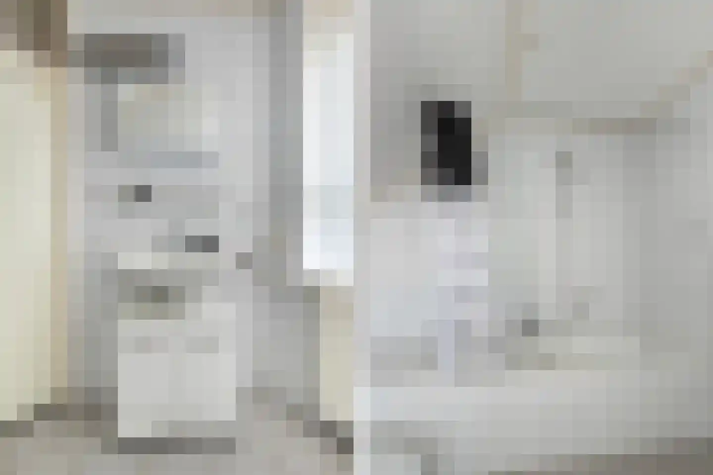 't Slaa 62 Aalten thumbnail 17