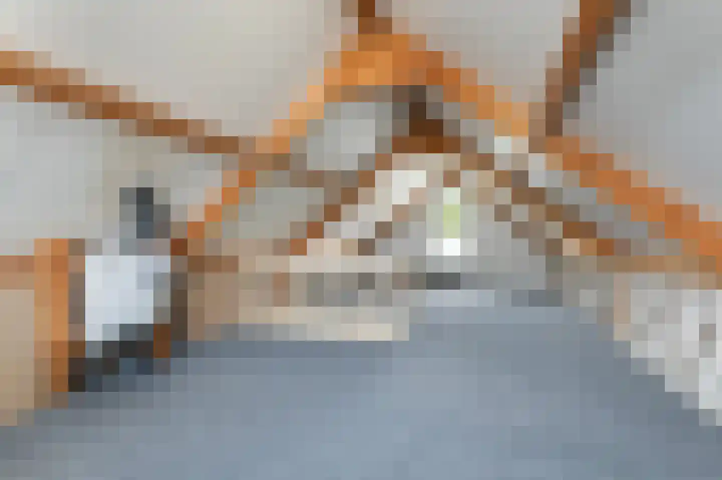 't Slaa 62 Aalten thumbnail 18
