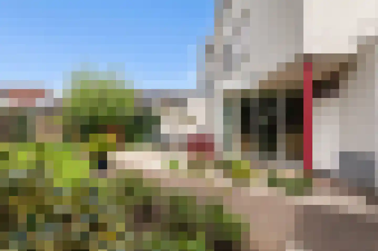 't Slaa 62 Aalten thumbnail 23
