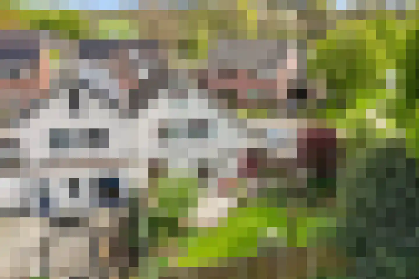 't Slaa 62 Aalten foto 3