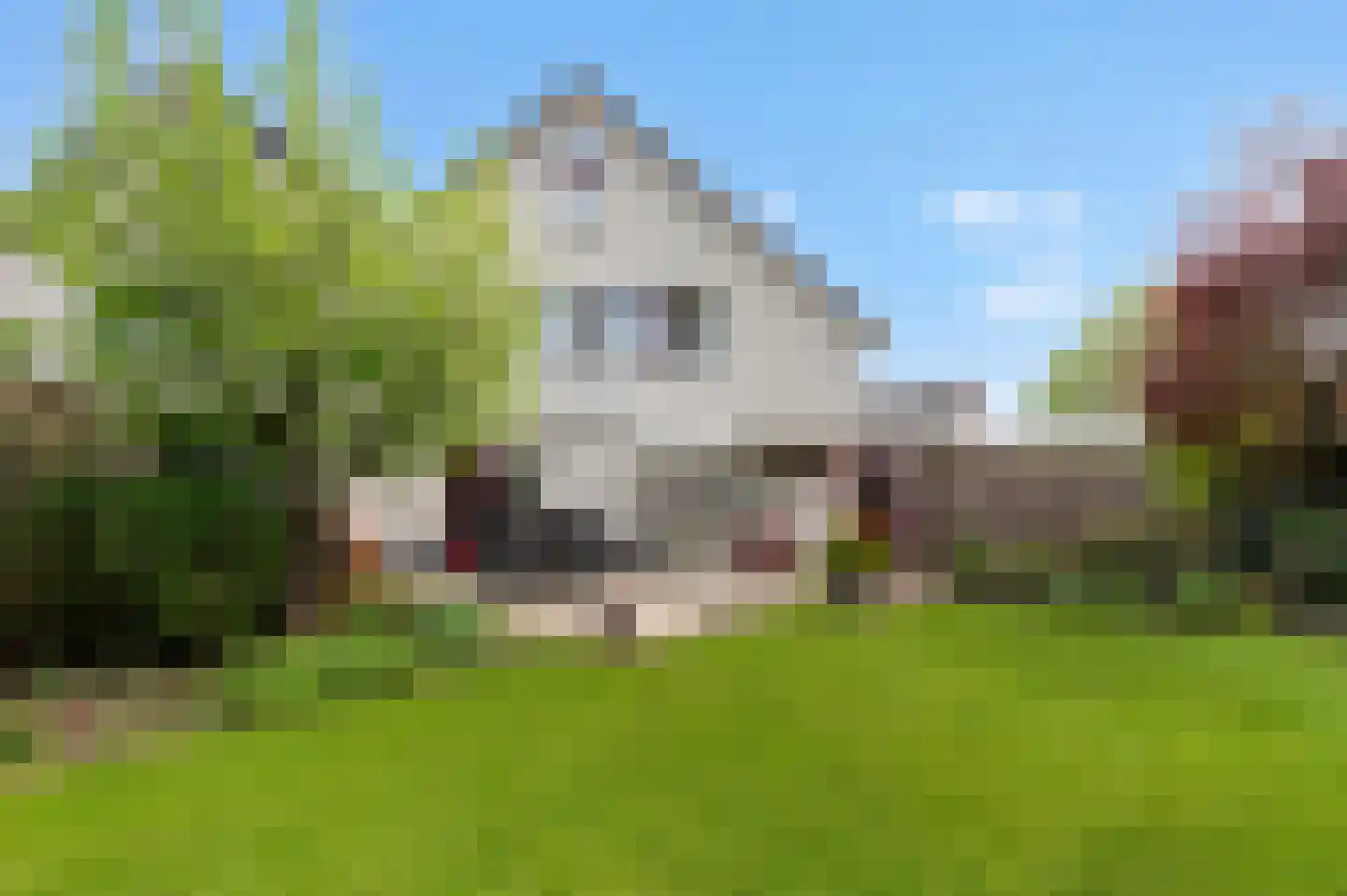 't Slaa 62 Aalten thumbnail 4