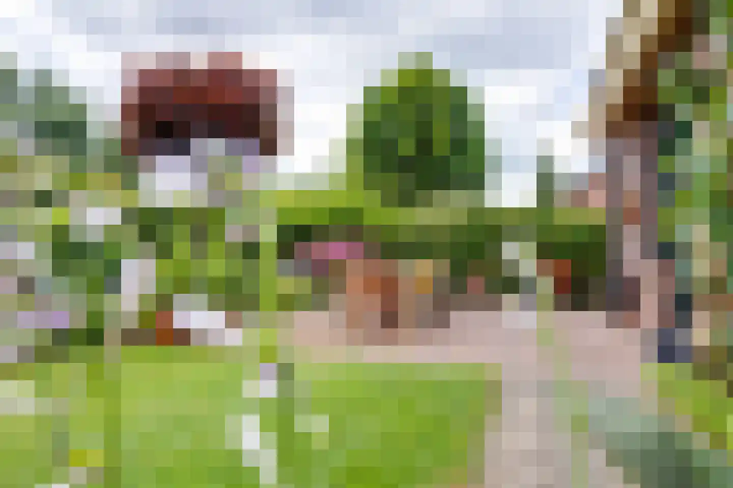 't Slaa 66 Aalten thumbnail 22