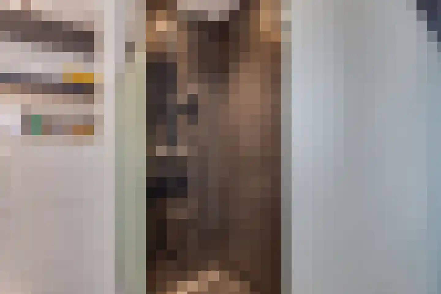 't Slaa 66 Aalten thumbnail 39