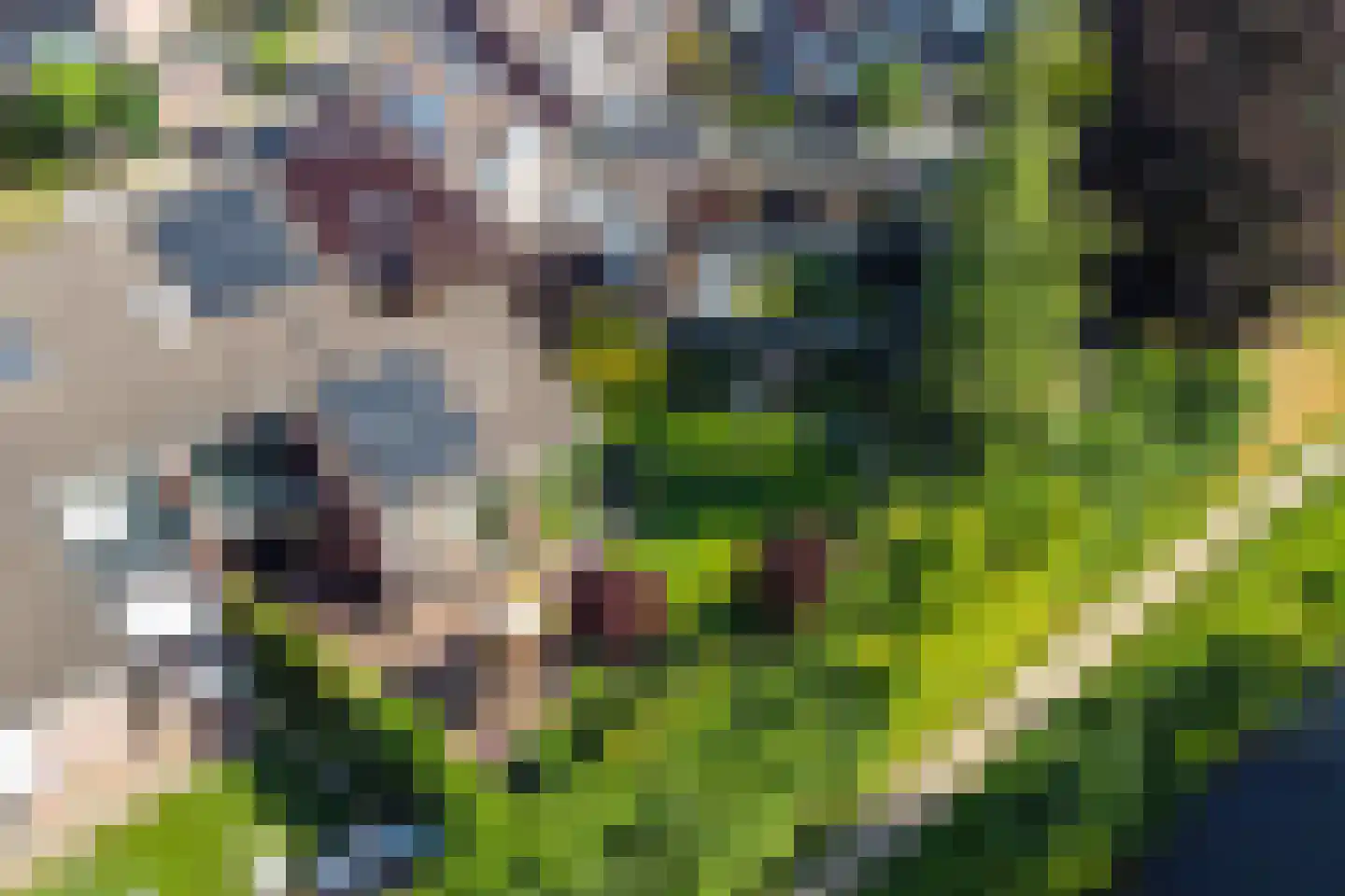 't Slaa 66 Aalten thumbnail 4
