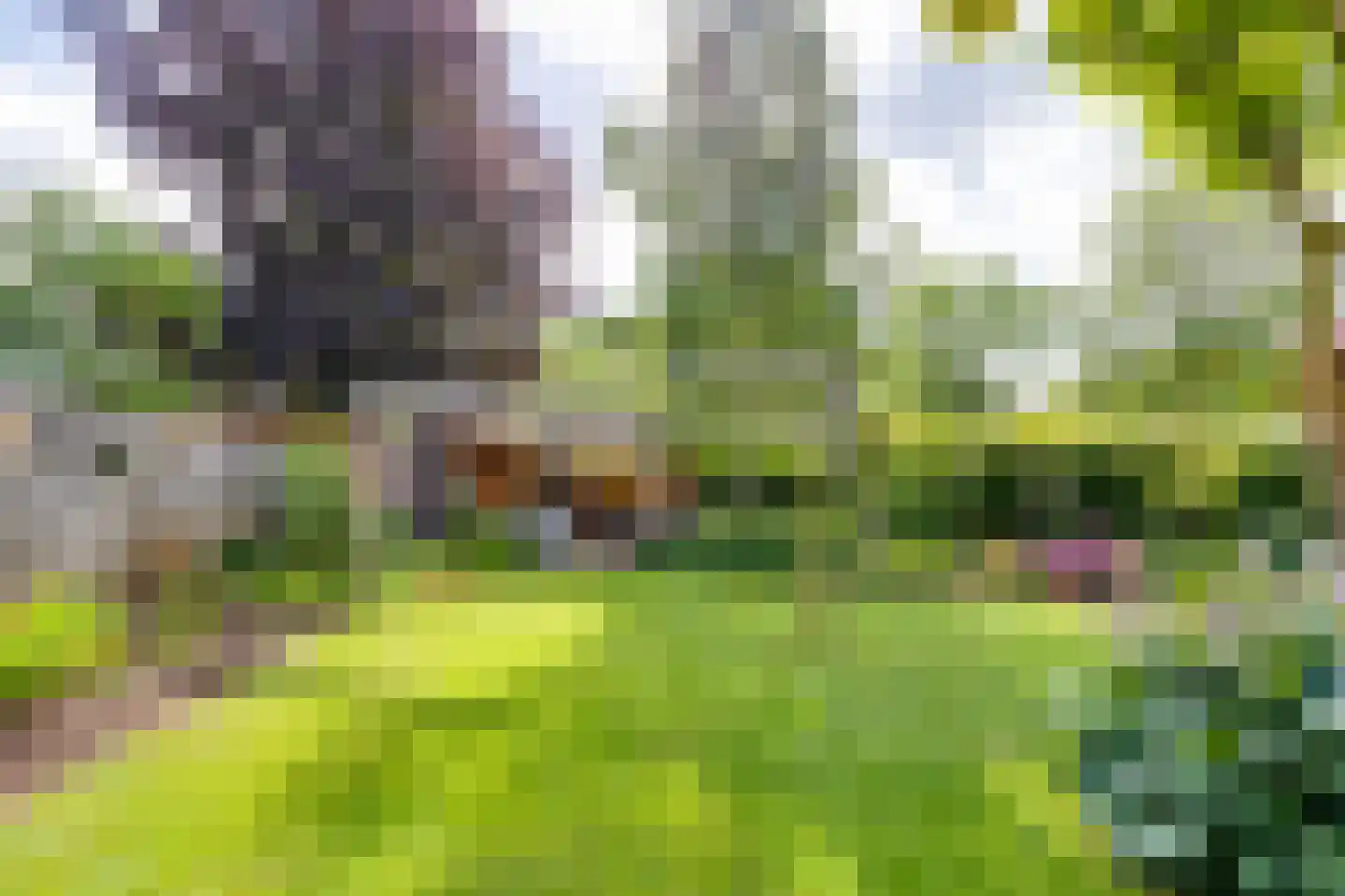 't Slaa 66 Aalten thumbnail 45