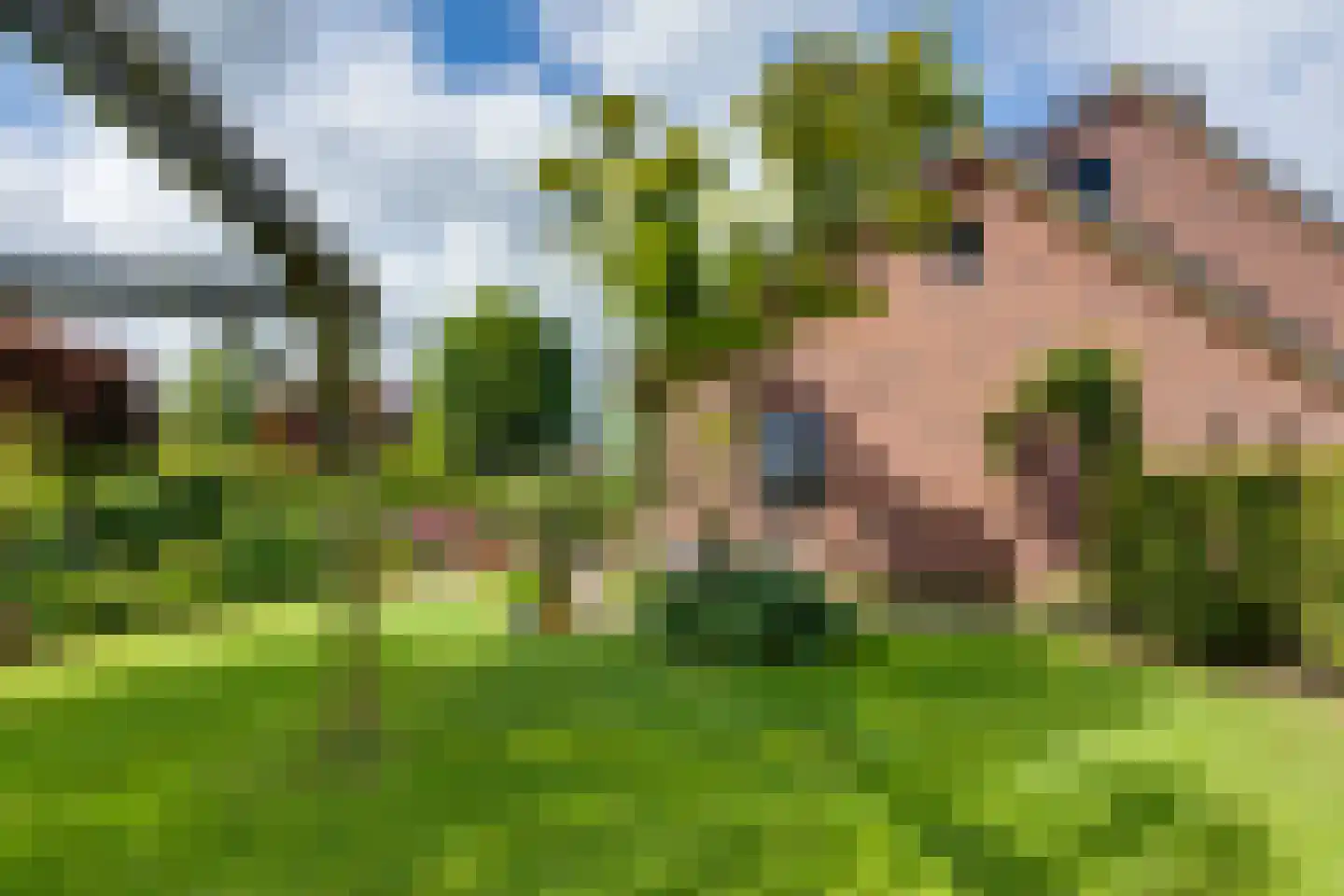 't Slaa 66 Aalten thumbnail 47