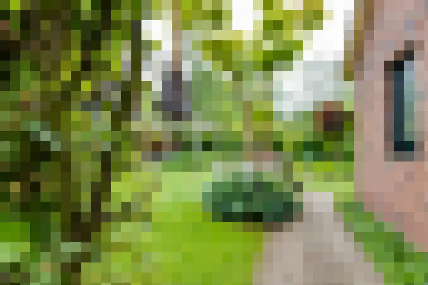 't Slaa 66 Aalten thumbnail 50