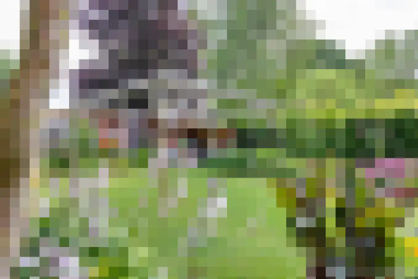 't Slaa 66 Aalten thumbnail 51