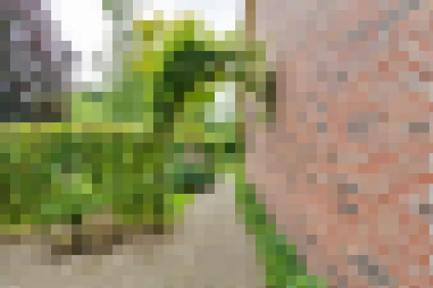 't Slaa 66 Aalten thumbnail 54