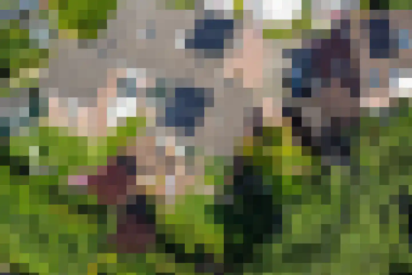't Slaa 66 Aalten thumbnail 55