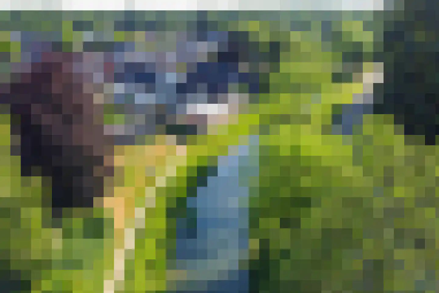 't Slaa 66 Aalten thumbnail 57