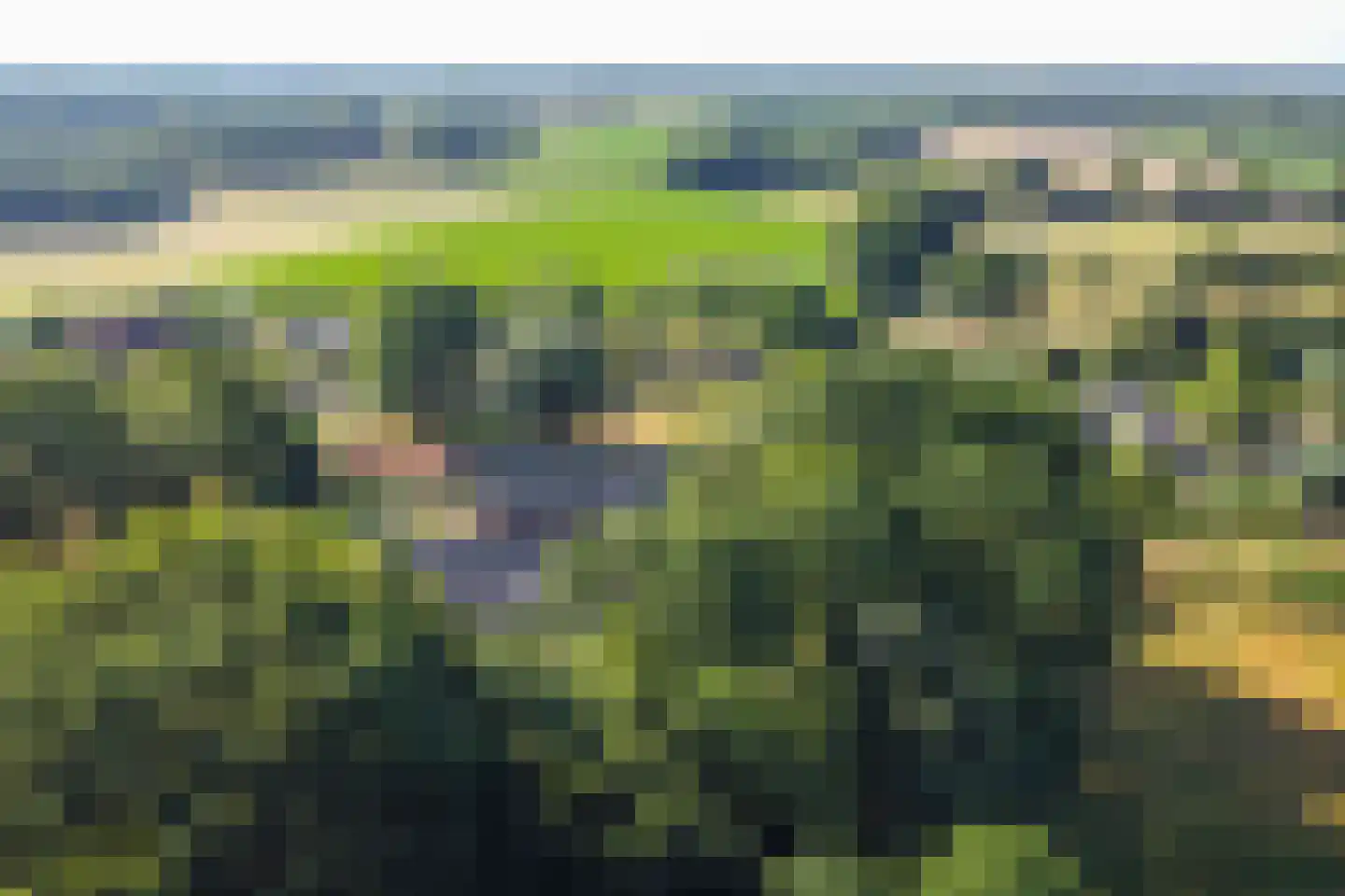't Slaa 66 Aalten thumbnail 60