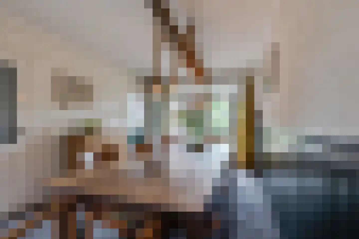't Slaa 66 Aalten thumbnail 7