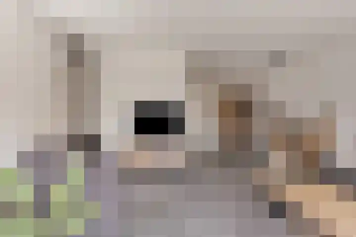 't Slaa 78 Aalten thumbnail 5