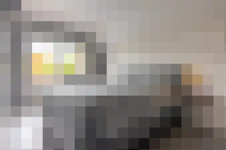 't Slaa 96 Aalten thumbnail 19