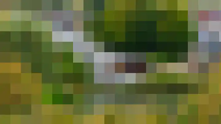 't Slaa 96 Aalten thumbnail 23