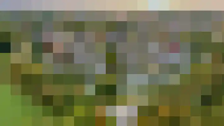 't Slaa 96 Aalten thumbnail 28
