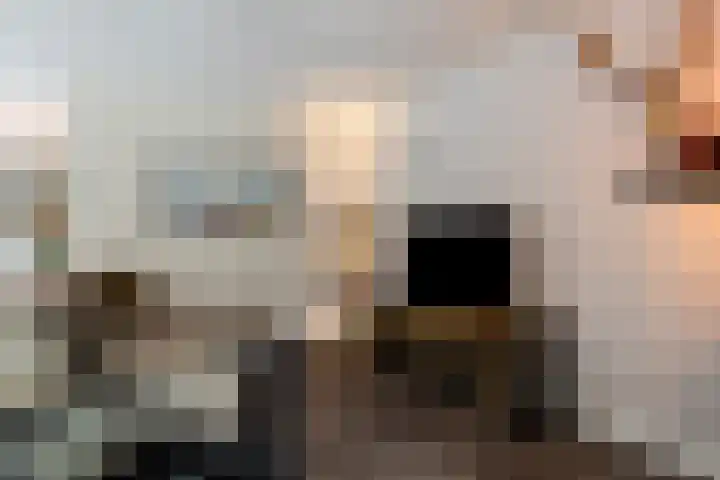 't Slaa 96 Aalten thumbnail 6