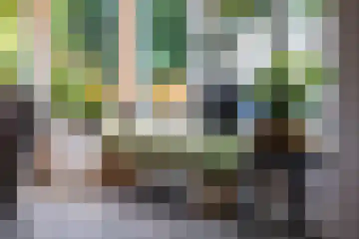 't Slaa 96 Aalten thumbnail 7