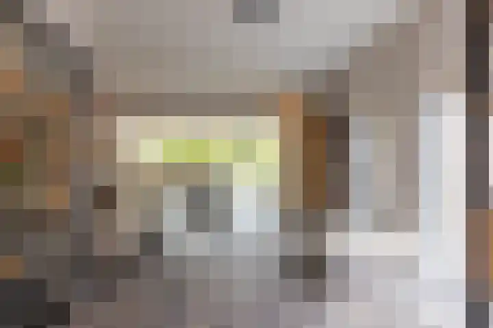 't Slaa 96 Aalten thumbnail 8
