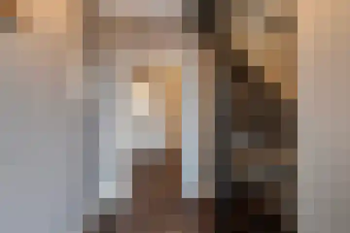 't Slaak 13 Sint Philipsland thumbnail 10