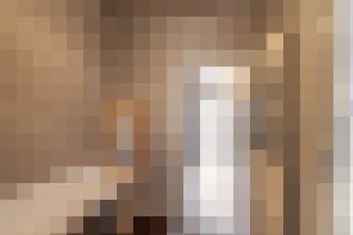 't Slaak 13 Sint Philipsland thumbnail 12
