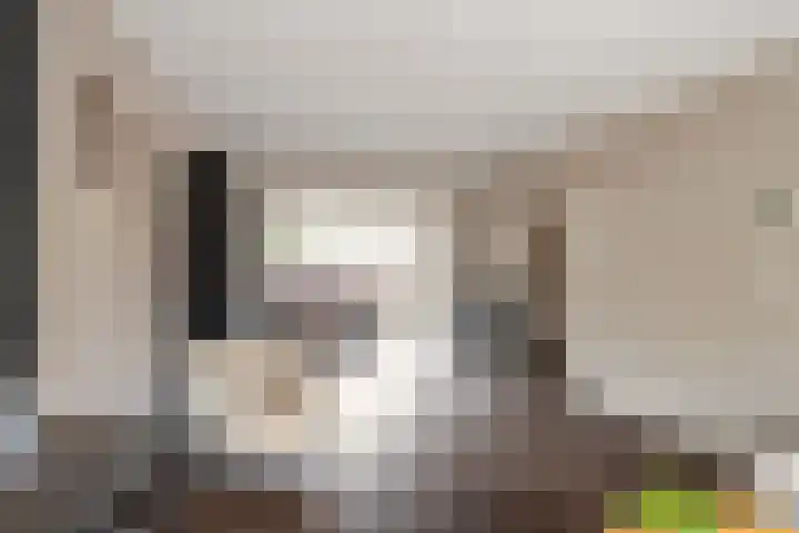 't Slaak 13 Sint Philipsland thumbnail 15
