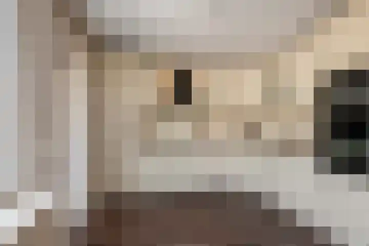 't Slaak 13 Sint Philipsland thumbnail 17