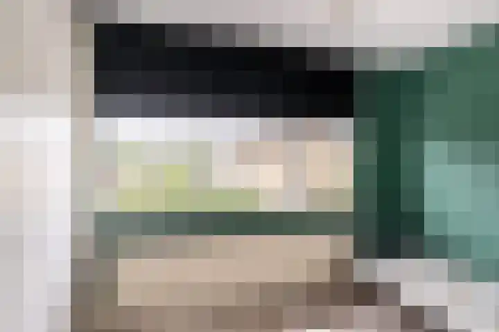 't Slaak 13 Sint Philipsland thumbnail 28