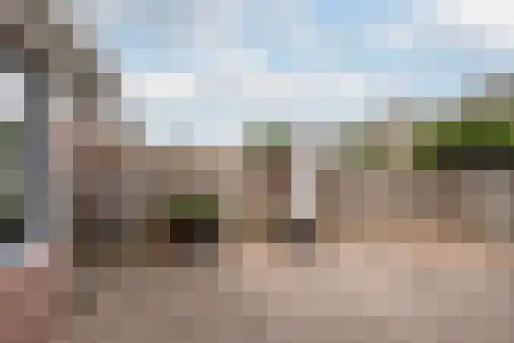 't Slaak 13 Sint Philipsland thumbnail 33