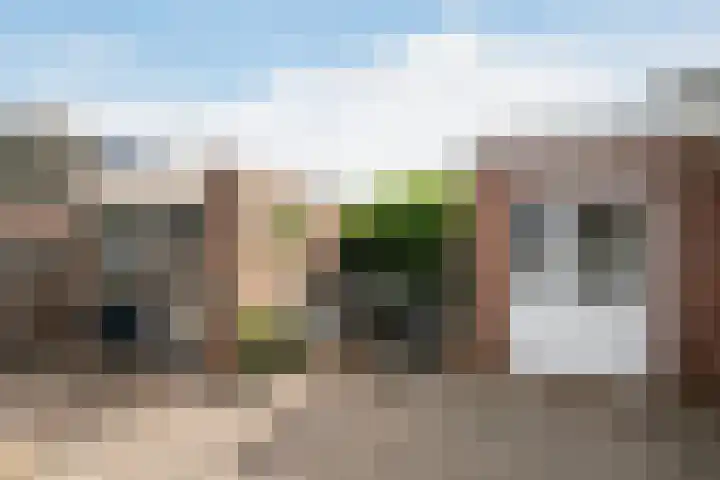 't Slaak 13 Sint Philipsland thumbnail 34
