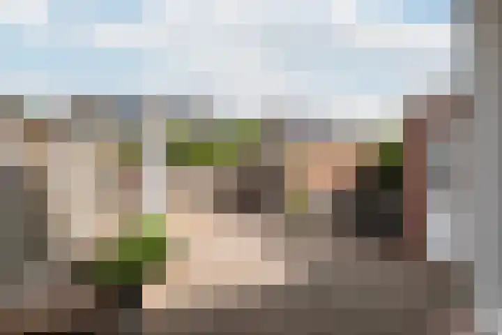 't Slaak 13 Sint Philipsland thumbnail 5