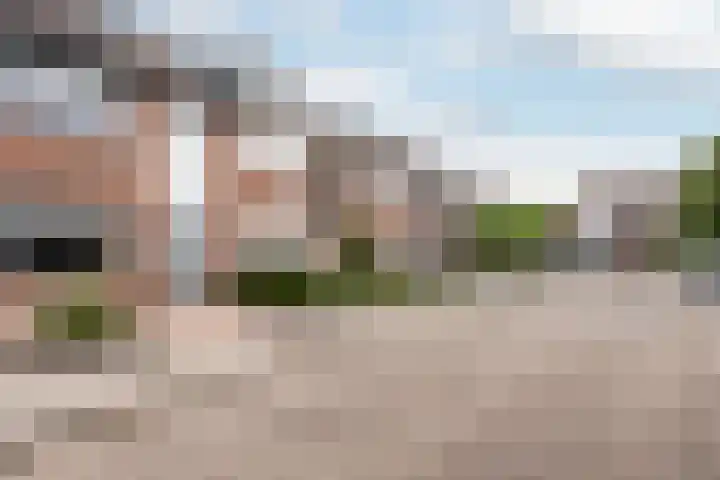 't Slaak 13 Sint Philipsland thumbnail 6