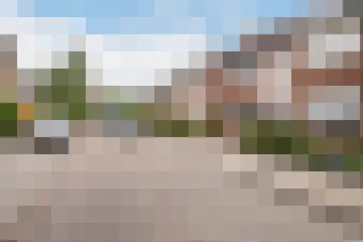't Slaak 13 Sint Philipsland thumbnail 7