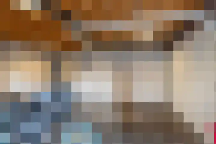 't Slaak 19 Sint Philipsland thumbnail 18