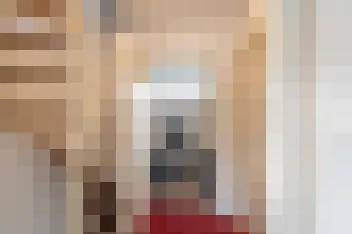 't Slaak 19 Sint Philipsland thumbnail 21
