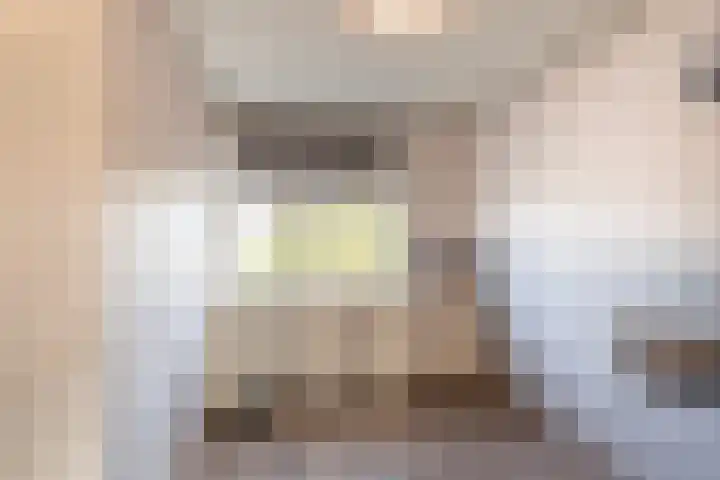 't Slaak 19 Sint Philipsland thumbnail 24