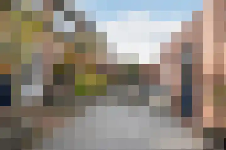 't Slaak 19 Sint Philipsland thumbnail 37