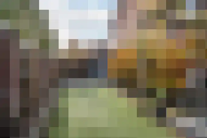 't Slaak 19 Sint Philipsland thumbnail 40