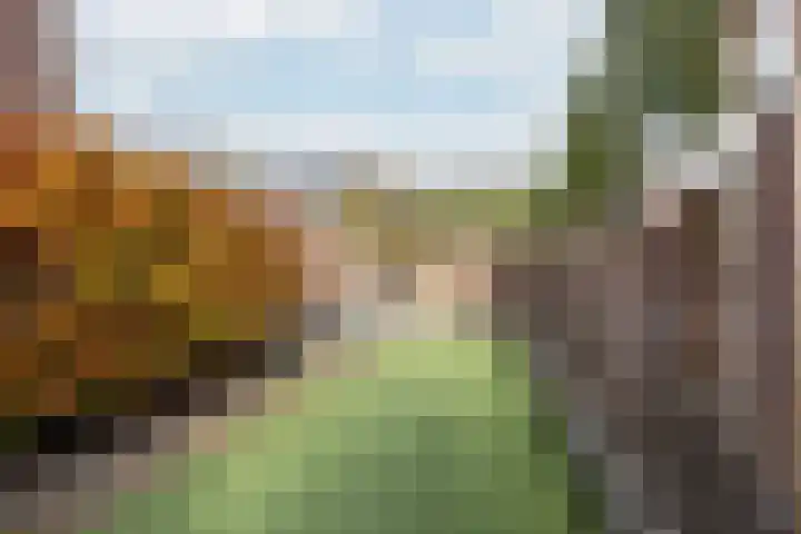 't Slaak 19 Sint Philipsland thumbnail 41