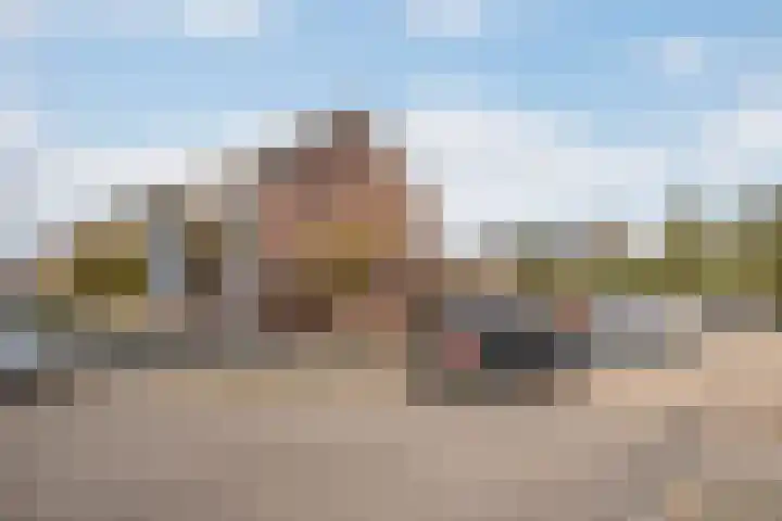 't Slaak 19 Sint Philipsland thumbnail 8