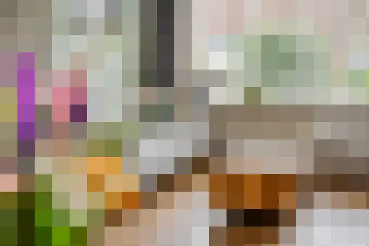 't Slag 1 Bemmel thumbnail 13