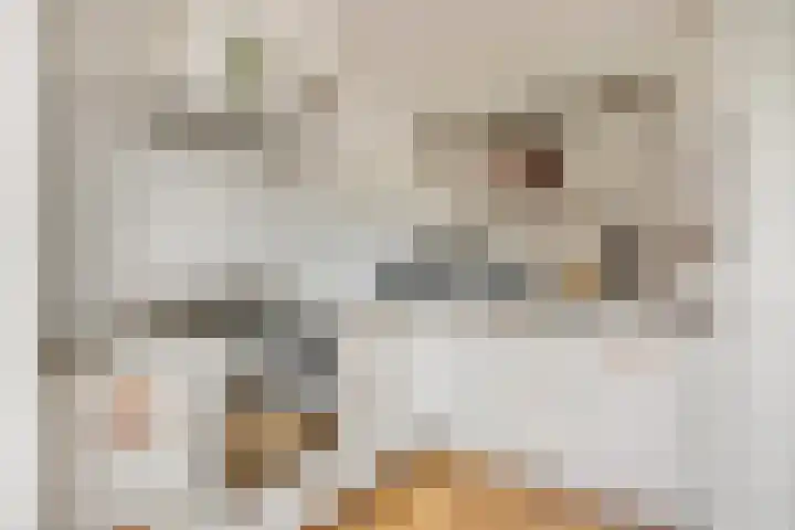 't Slag 1 Bemmel thumbnail 19