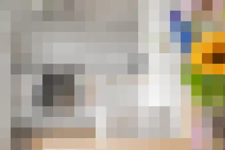 't Slag 1 Bemmel thumbnail 20