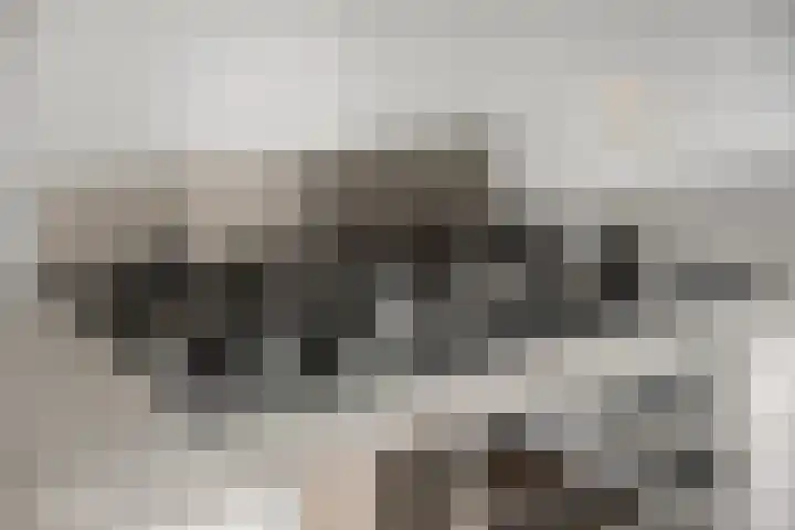 't Slag 1 Bemmel thumbnail 22
